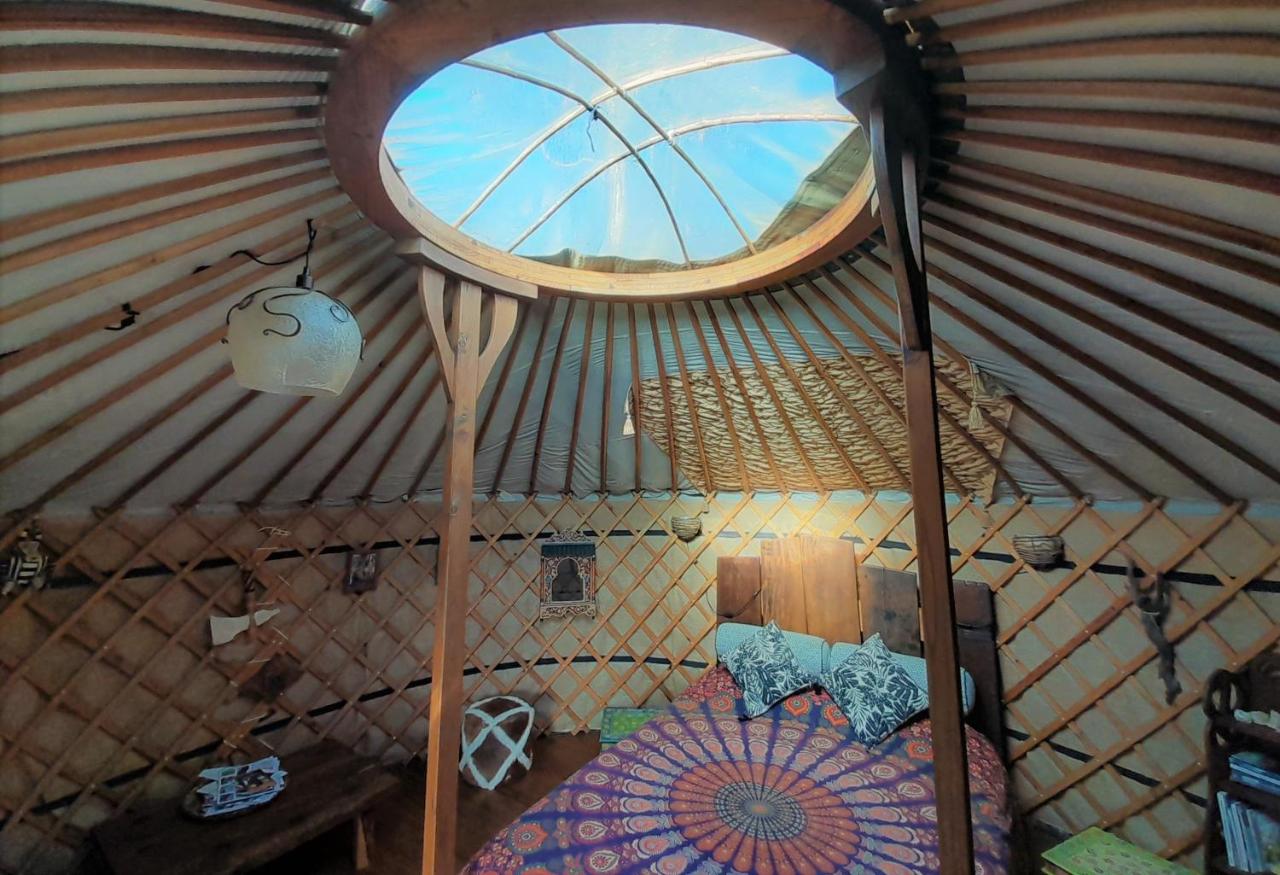 Green Man yurt - B&B Penela
