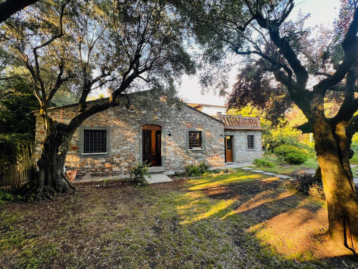 La Casina di Susy - Chambres d’hôtes Seravezza