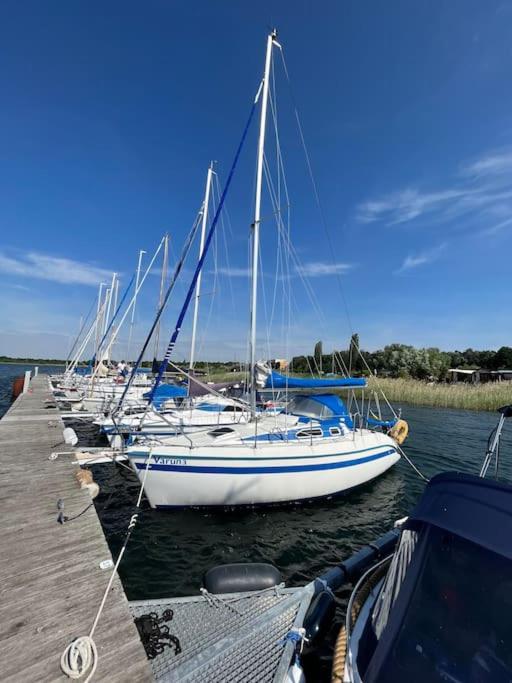 Haus Bernsteinsee mit Goitzsche-Schnuppersegeln - Ferienwohnung Friedersdorf