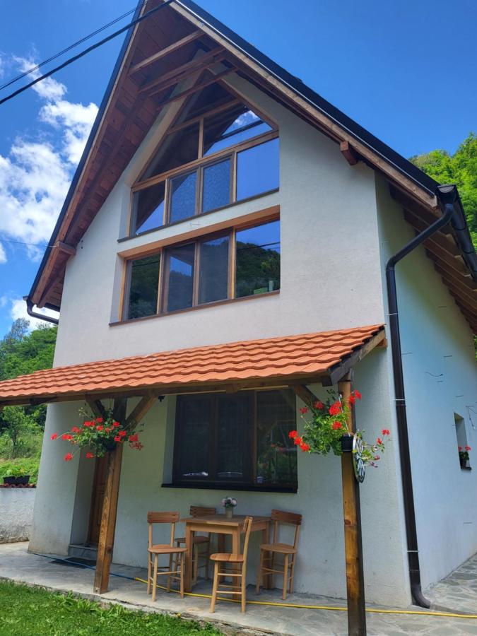 Antić apartmani Stara planina - Chambres d’hôtes