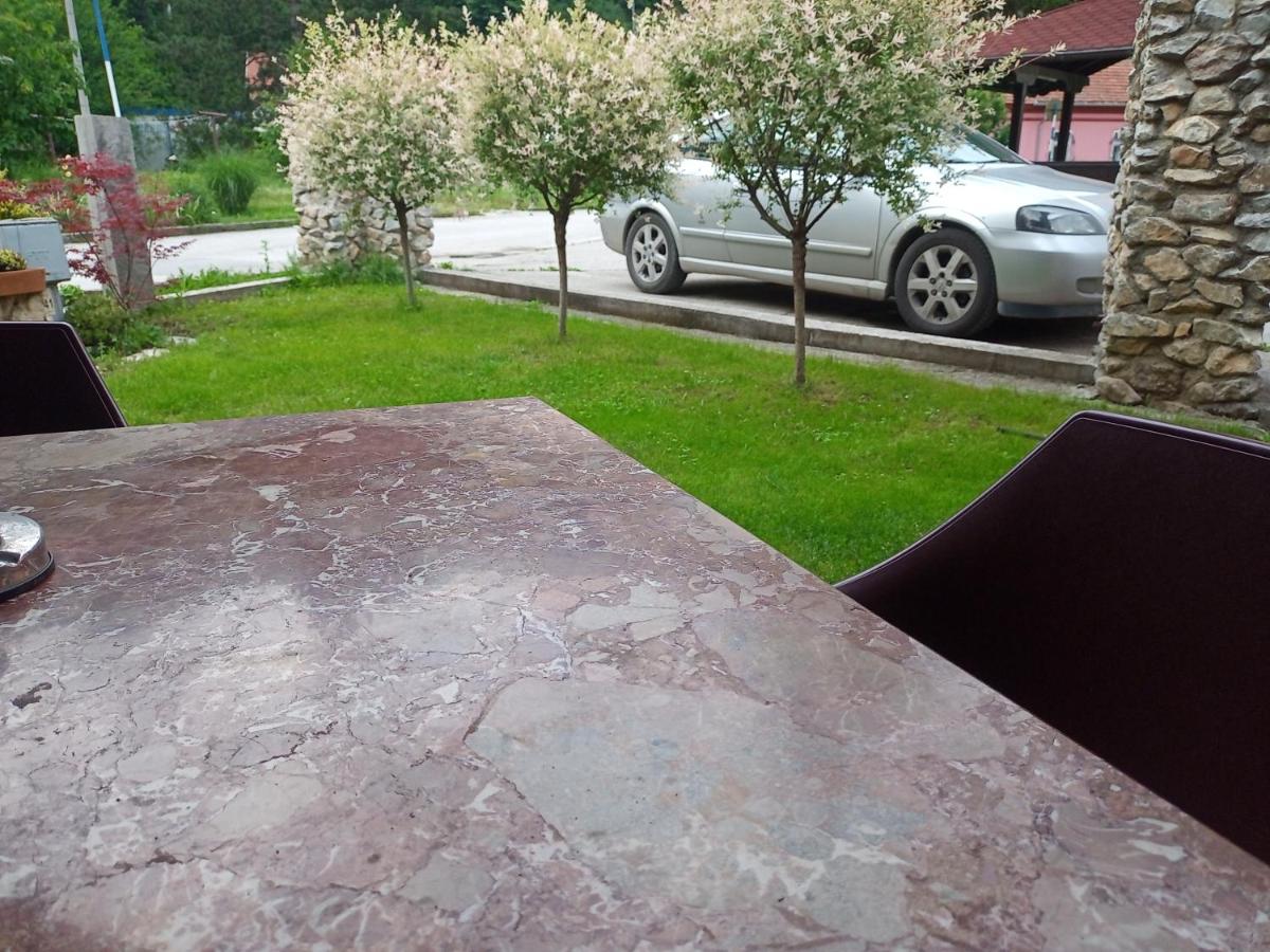Vila Nenad Ovčar banja - B&B