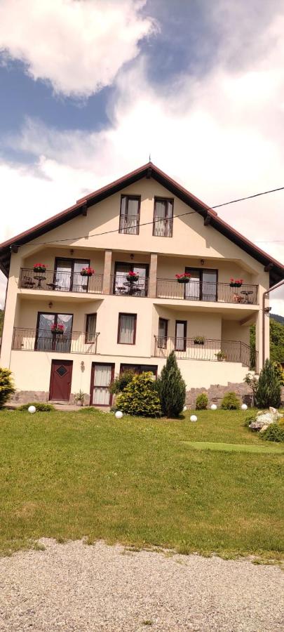 B&B Borşa - Vila Puiu Borsa MM - Bed and Breakfast Borşa