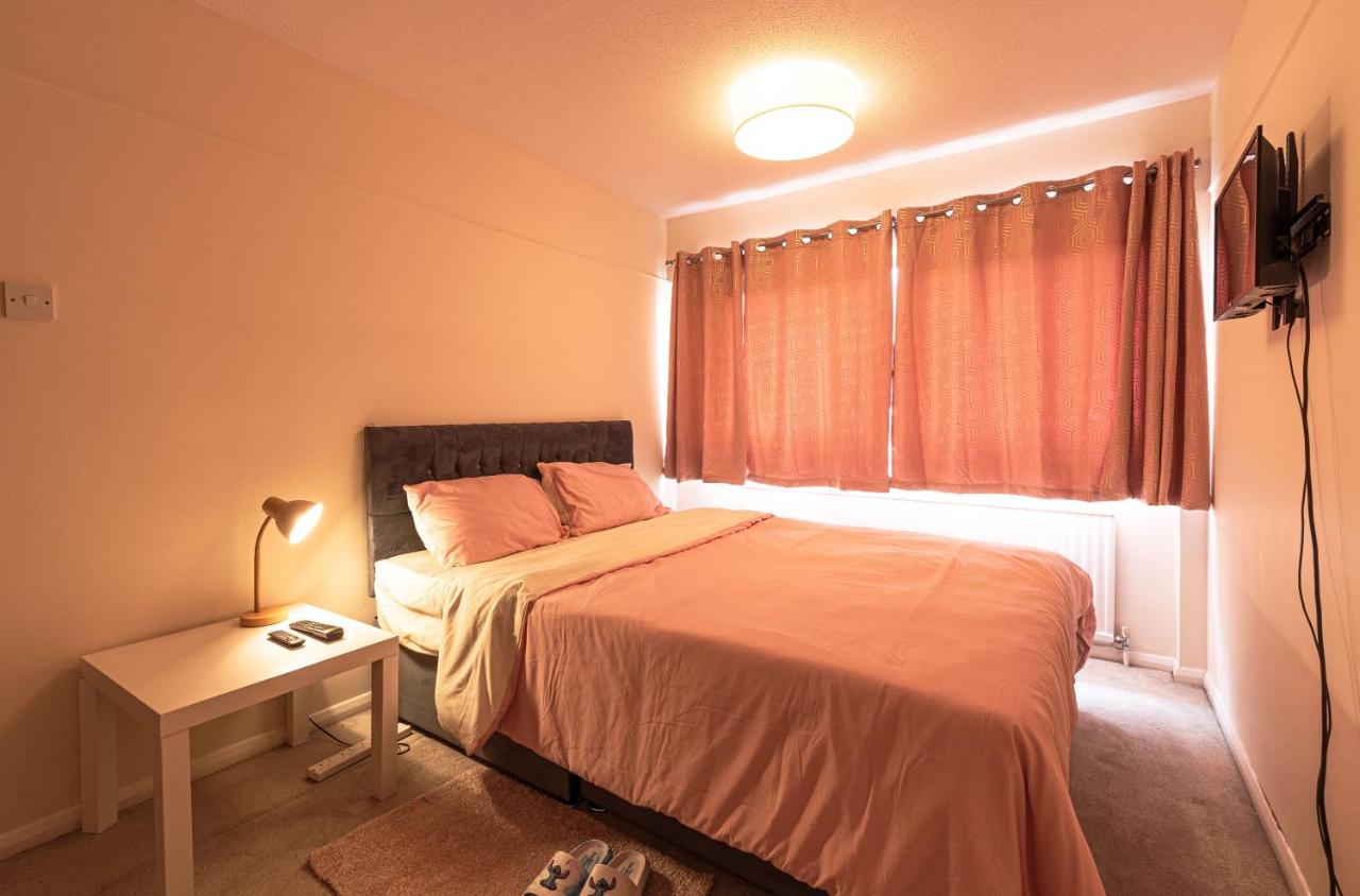 Professional House - B&B