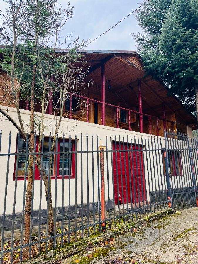 Casuta noastra din Predeal - Bed and Breakfast
