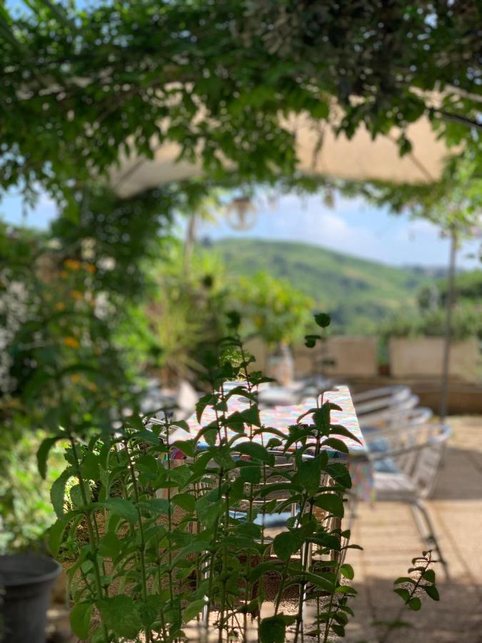 Il Cenacolo Di Sissi - B&B Campagnano di Roma