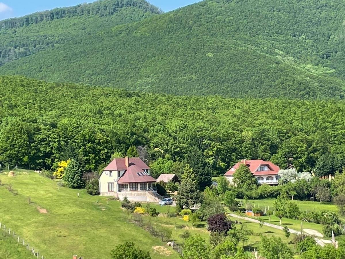 The Mountain Cottage - Hegyi kuckó - B&B