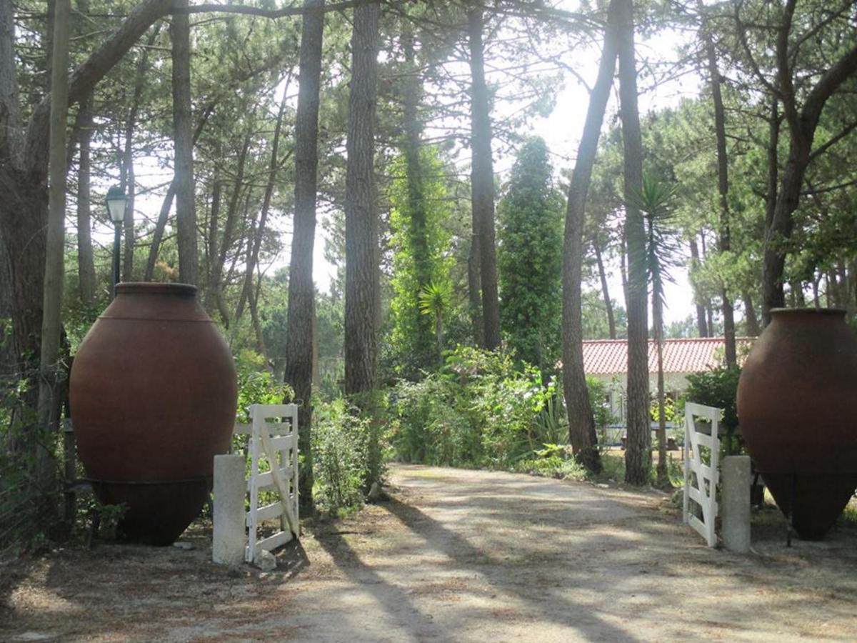 Casa do Páteo - Chambres d'hôtes Aldeia do Meco
