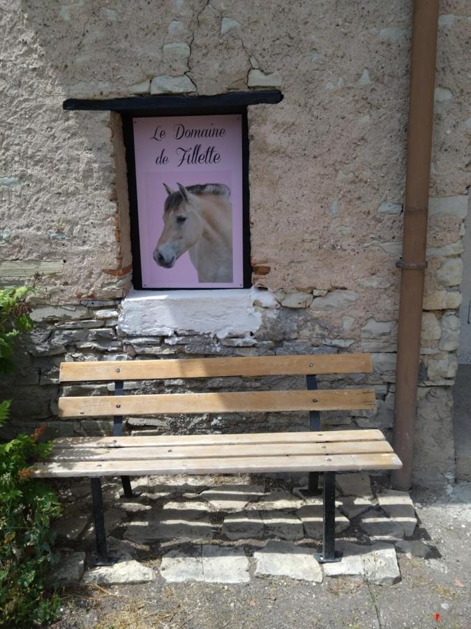 Le domaine de Fillette - B&B Einvaux