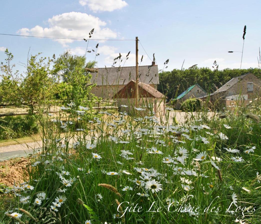 B&B Bouère - Gîte familial pour 6 pers en campagne - Bed and Breakfast Bouère