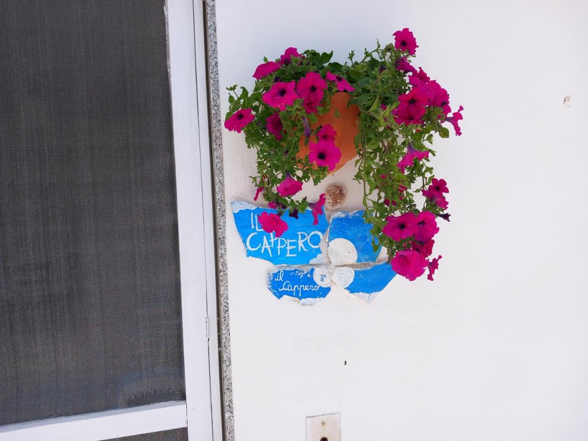 Il cappero, sul mare - Ferienwohnung Porto Badisco