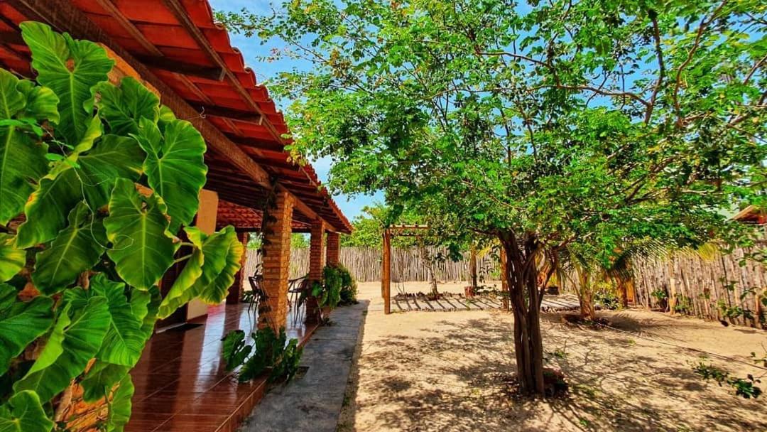 Casa Barra Jucá - Barra Grande Piauí - B&B