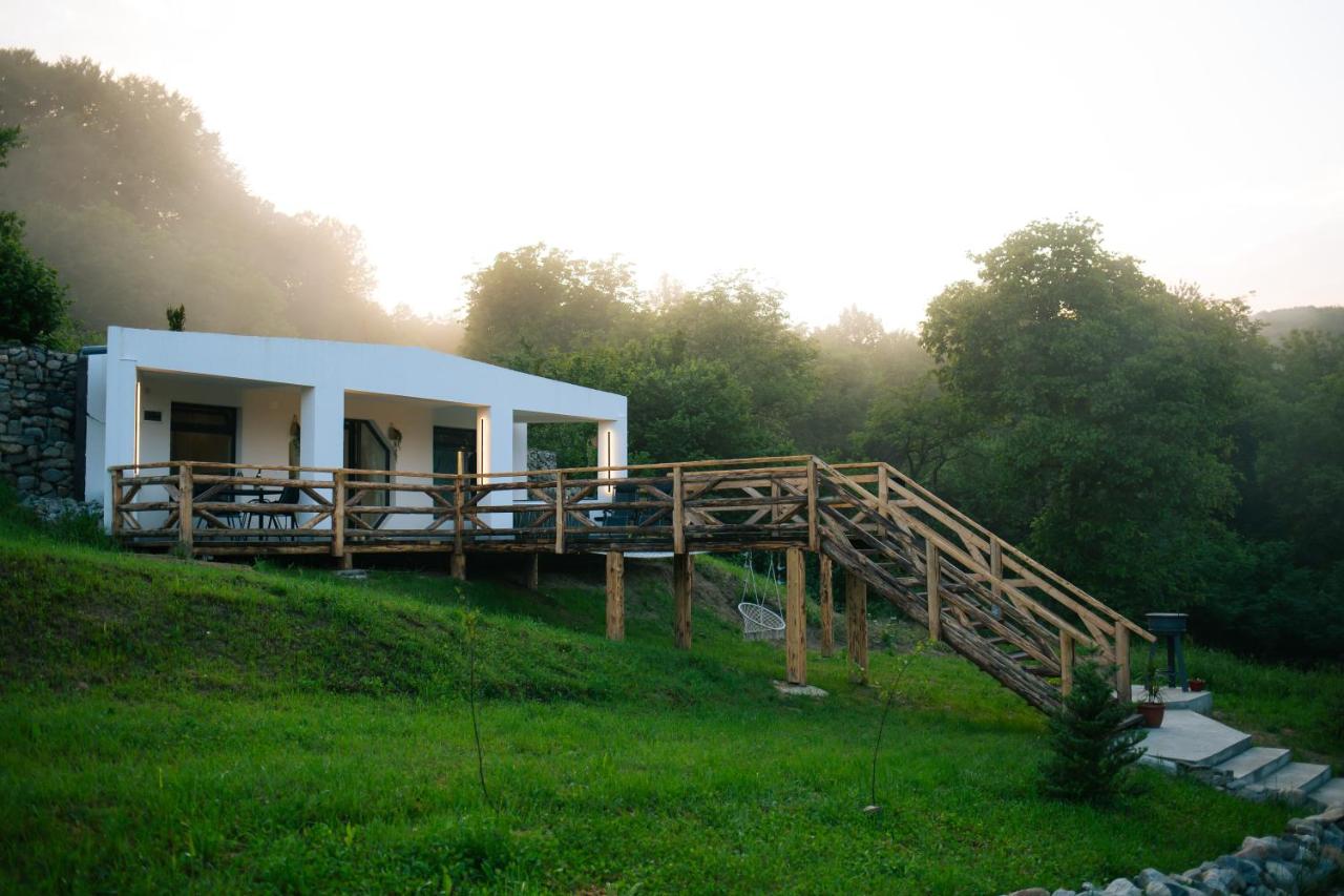 B&B Valea lui Maș - Hobbitul lui Maș / Maș' s Hobbit - Bed and Breakfast Valea lui Maș