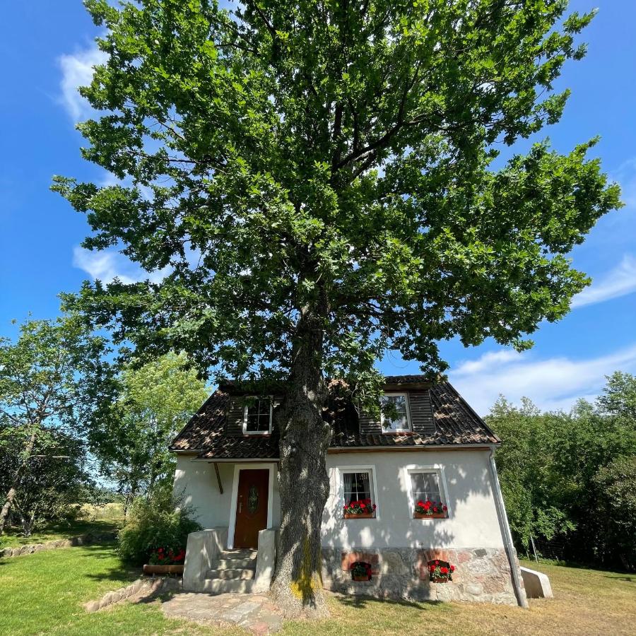 B&B Koczarki - Willa Pod Dębem - Bed and Breakfast Koczarki