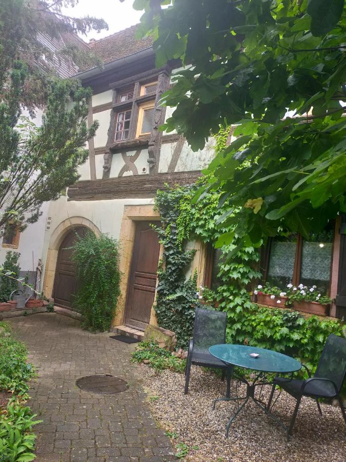 Studio La Grenouillère - Chambres d’hôtes Turckheim