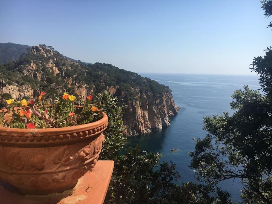 Casa mirador de la Costa Brava - Chambres d’hôtes