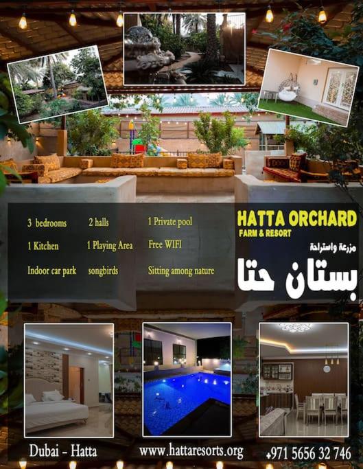 B&B Hatta - Hatta Orchard - Bed and Breakfast Hatta