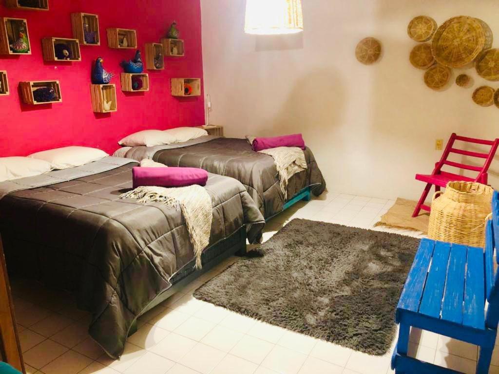 DEPARTAMENTO EN SAN CRISTOBAL Centro ESTACIONAMIENTO LUGARES PUBLICOS EN LA CALLE - B&B