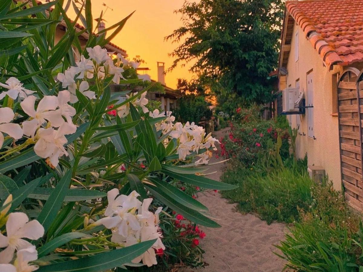 T3 neuf climatisé avec terrasse, piscine et parking à Argelès-sur-Mer - FR-1-732-27 - B&B Argeles