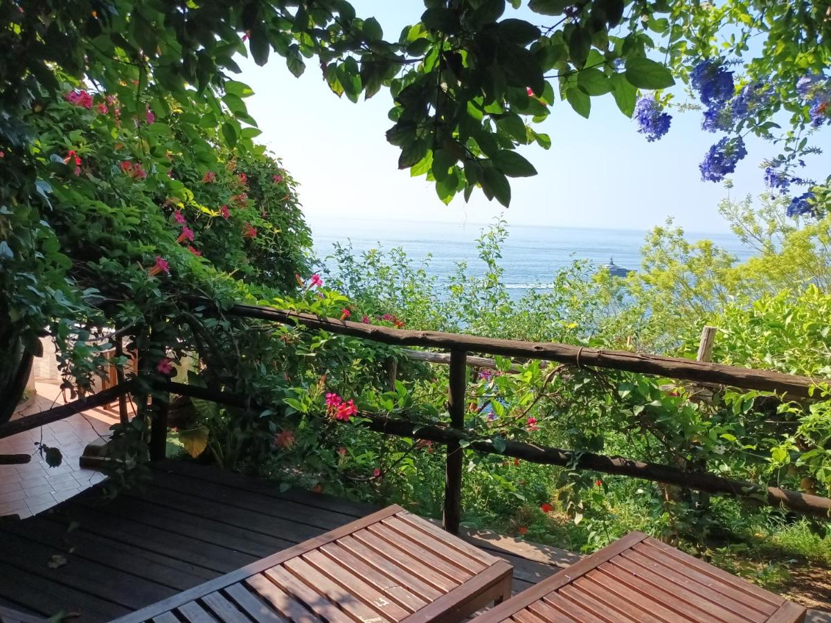 Casa Emi - B&B