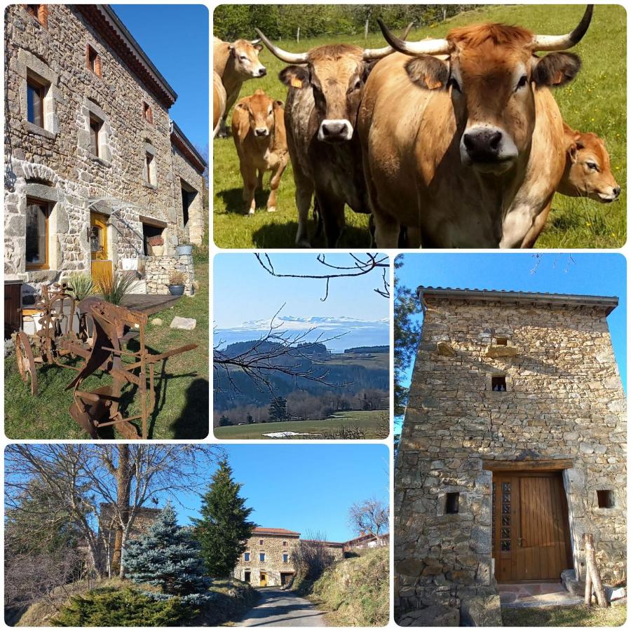 B&B Le Sapt - La Roucoule - Bed and Breakfast Le Sapt