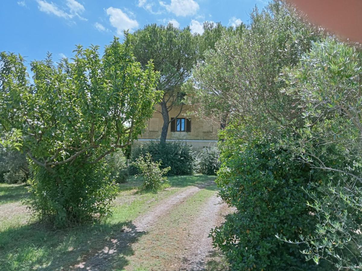 B&B Montelupone - Casa di Campagna Montelupone - Bed and Breakfast Montelupone