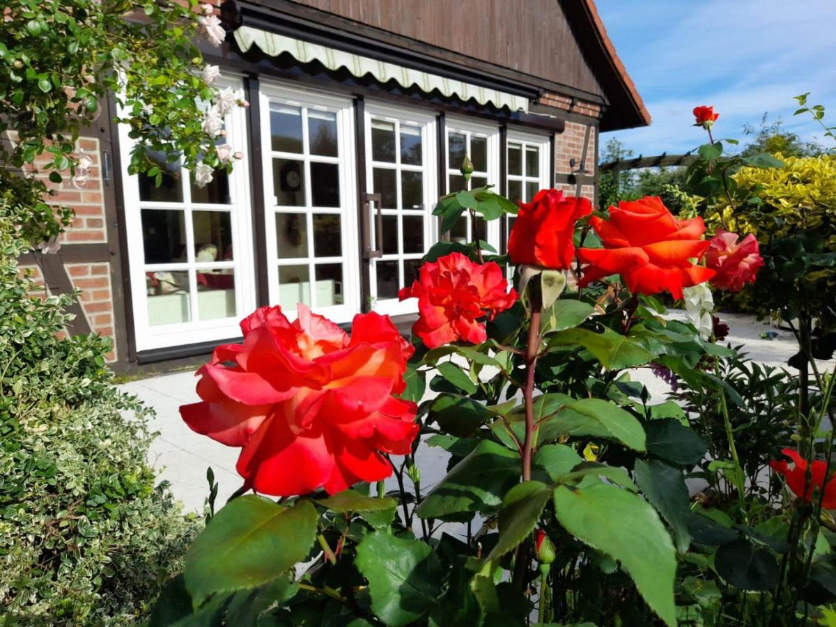 B&B Gartow - Ferienhaus Gartower See - Bed and Breakfast Gartow