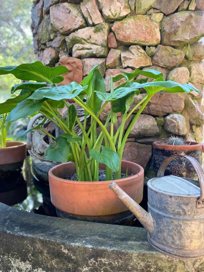 Camera Matrimoniale con Patio