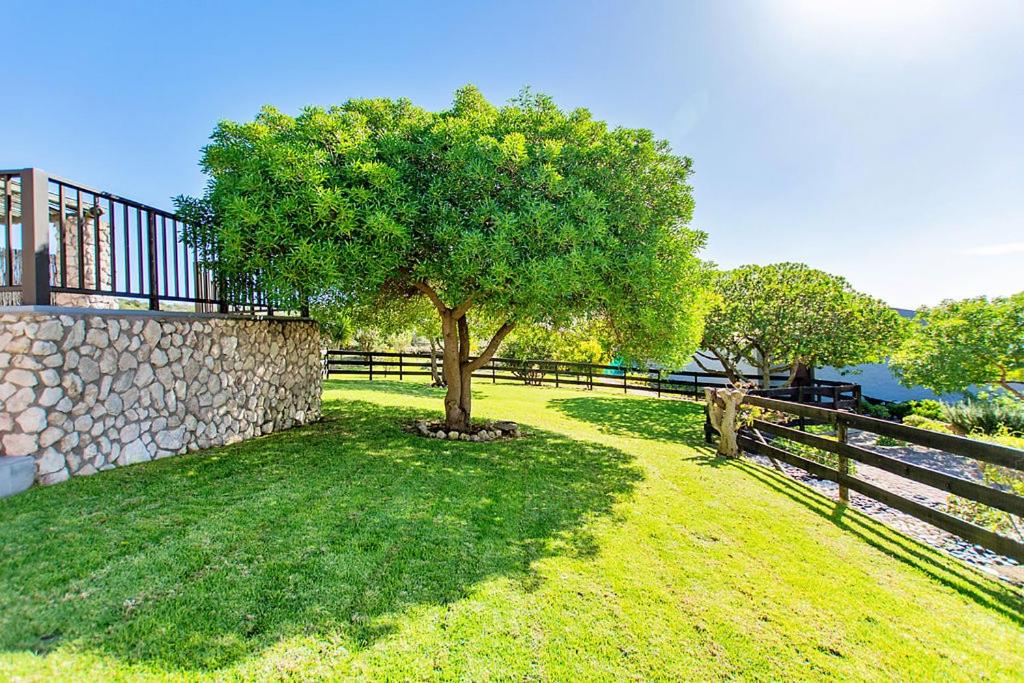 Poseidon Langebaan Holiday Accommodation - B&B Langebaan