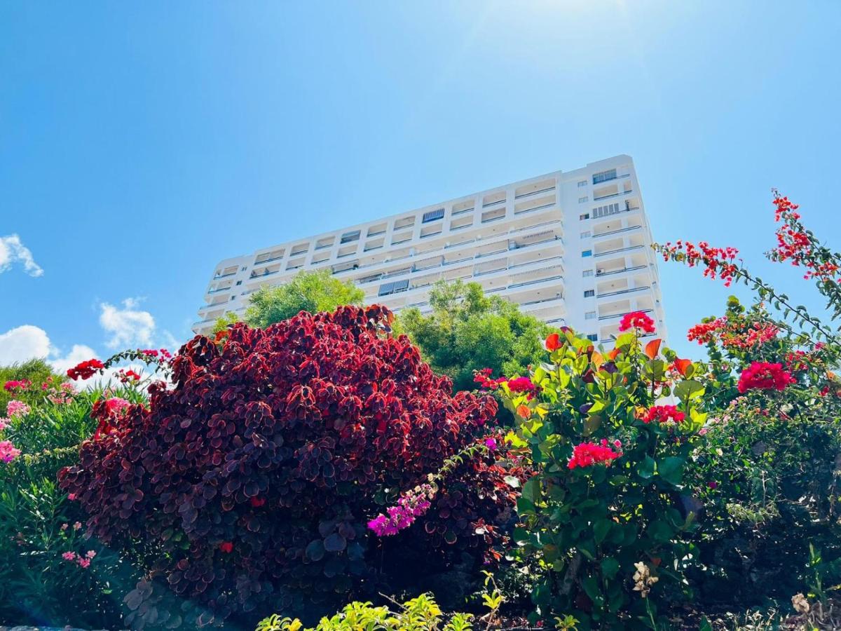 Luxury Kim Apartment, Ocean View & Wifi Free - B&B