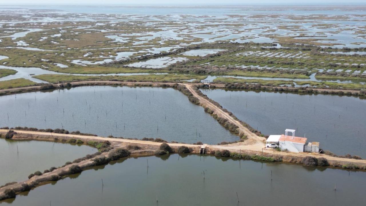 Studio met Uitzicht op de Oceaan