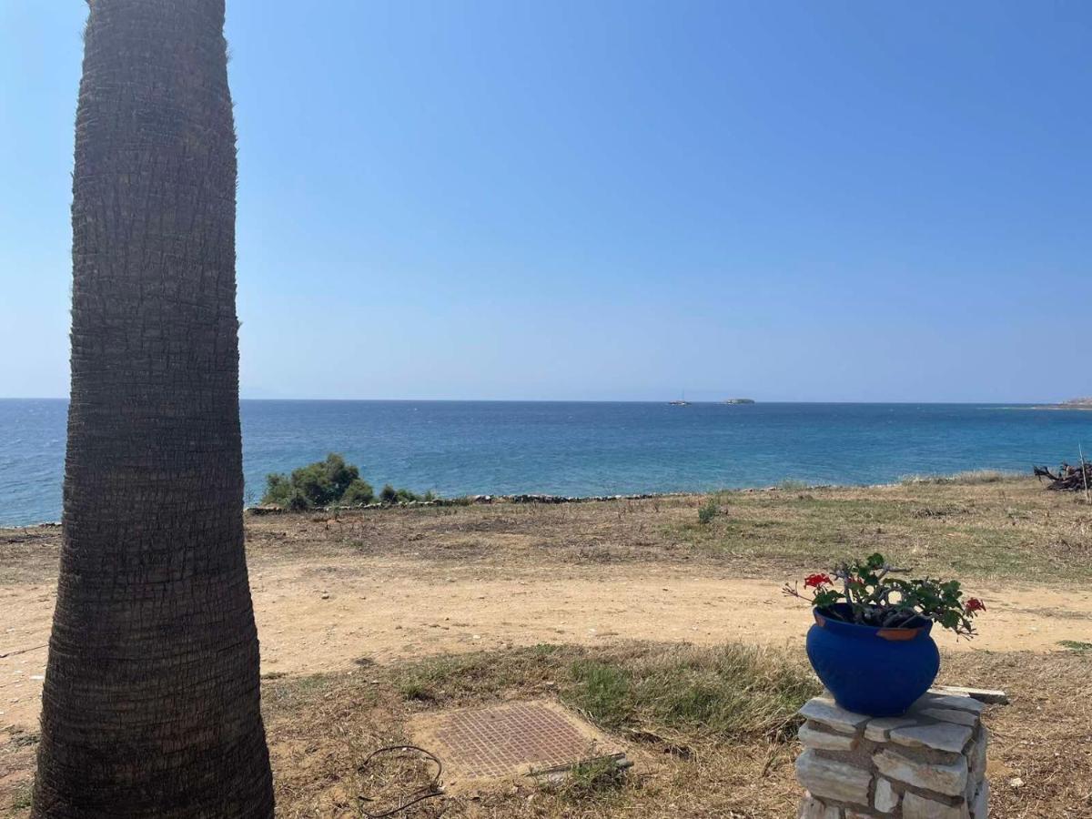 Mini Beach House - Chambres d'hôtes Logaras