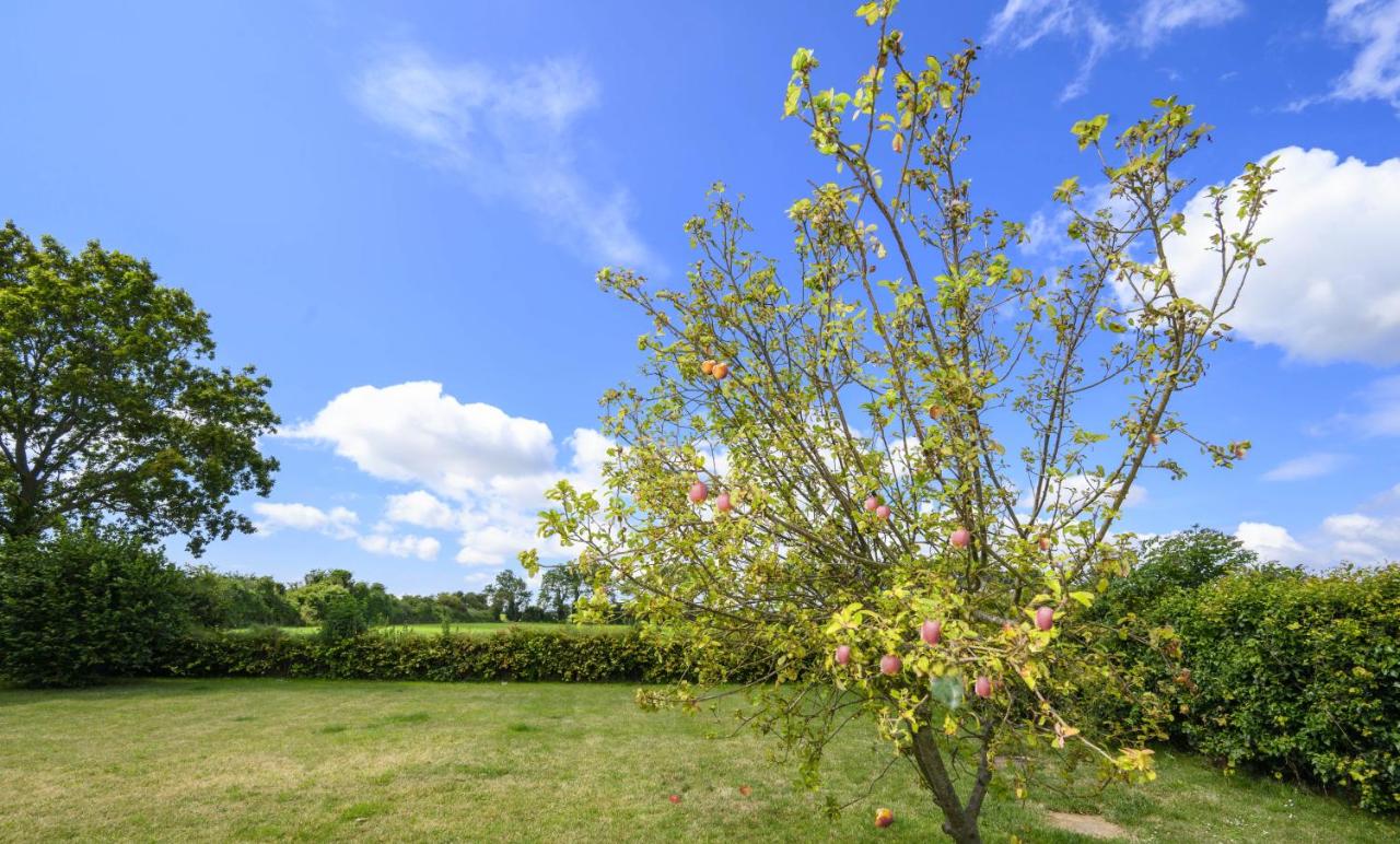 B&B Kent - APPLEDOWN - Secluded Rural Retreat in Kingsdown, 10 mins to BEACH - Bed and Breakfast Kent