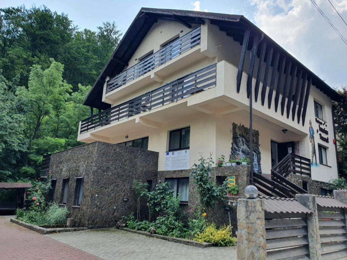 Pensiunea Iasmina si Pescarul - Chambres d’hôtes Călimăneşti