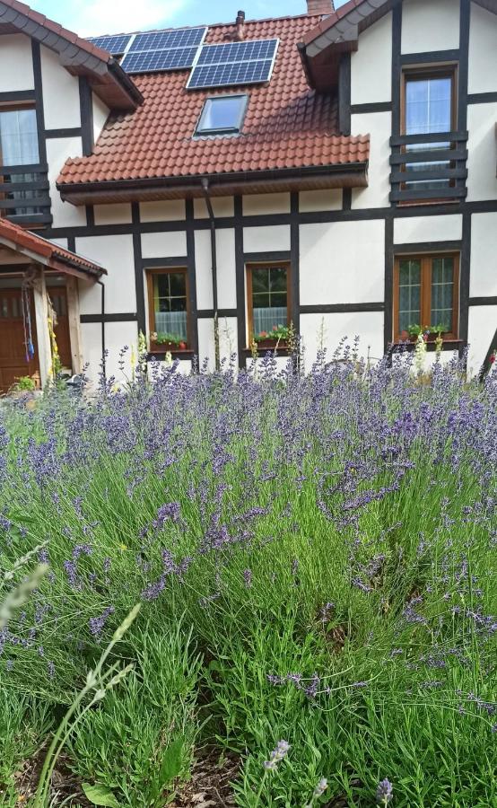 Gandelinka Park Kędrzyno - B&B