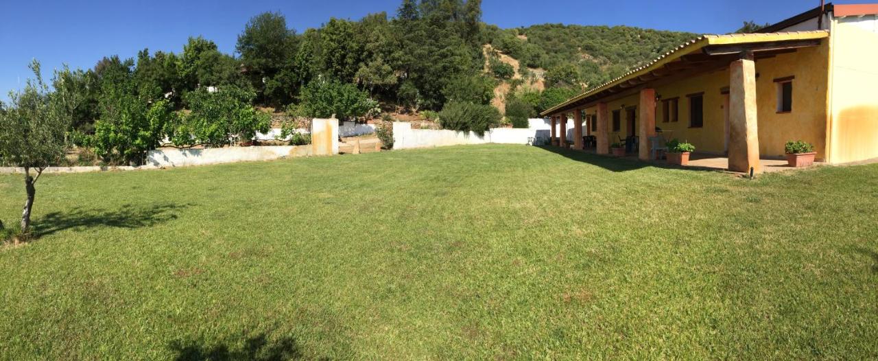 Agriturismo Piperedda - B&B