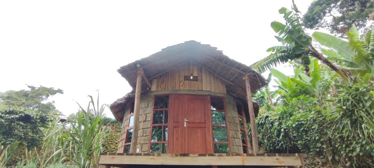 Mai Kilimanjaro Home Stay - B&B
