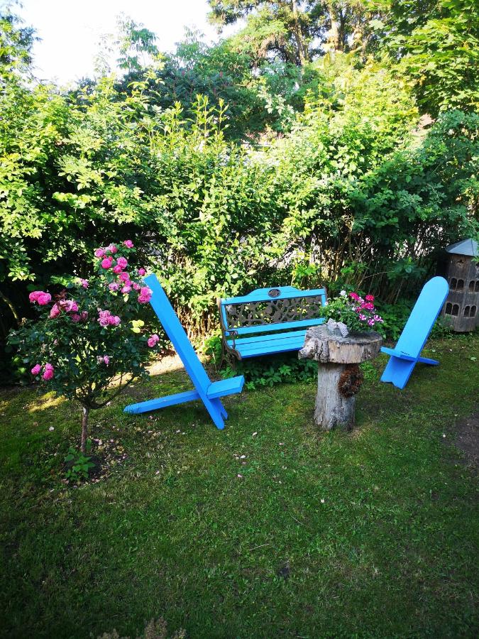 Pension zum Sägebock - B&B