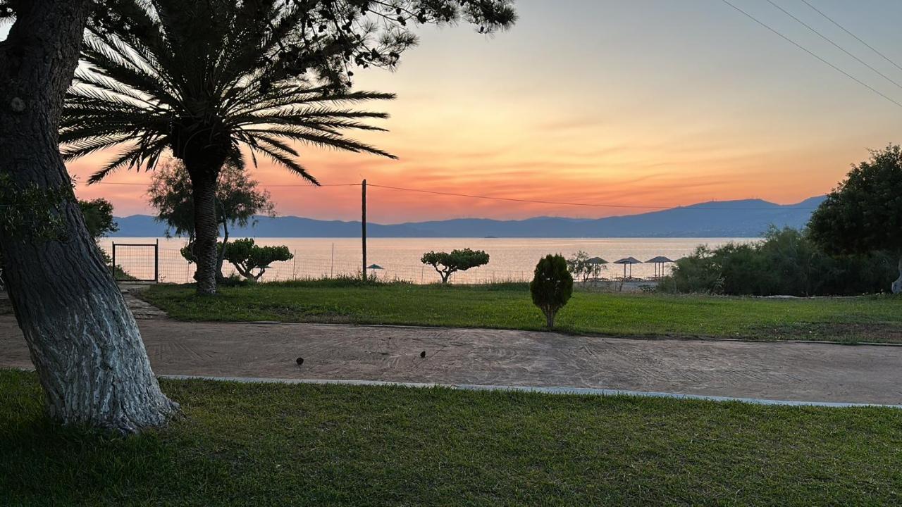 Bouros Seaview Farm - Ferienwohnung