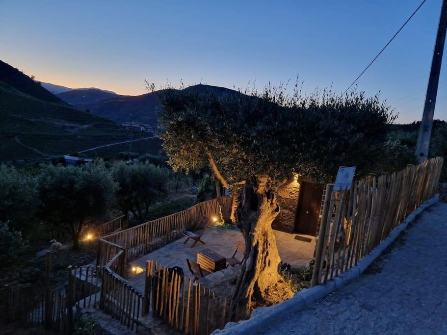 maison du olival - B&B Vacalar