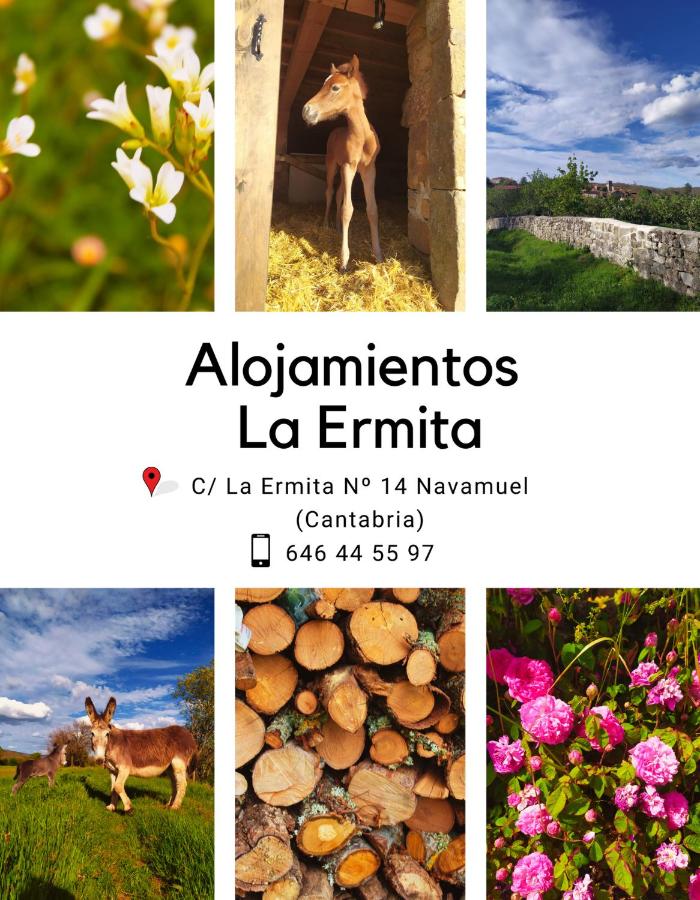 Alojamientos La Ermita - B&B Navamuel