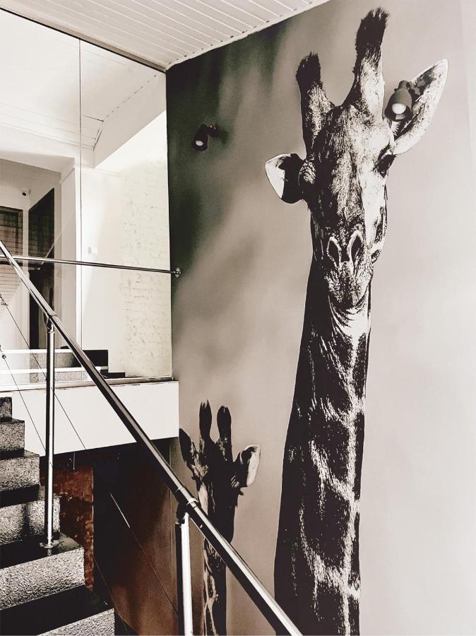 Wygodne Pokoje H114 - B&B Gliwice