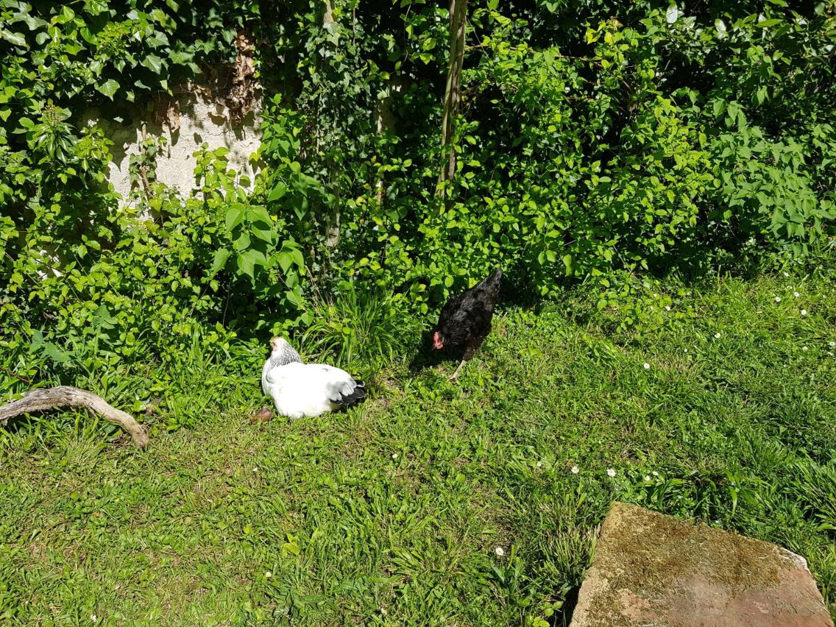 2 Chambres d 'hôtes chez un particulier avec piscine - B&B Saint-Leu-la-Forêt