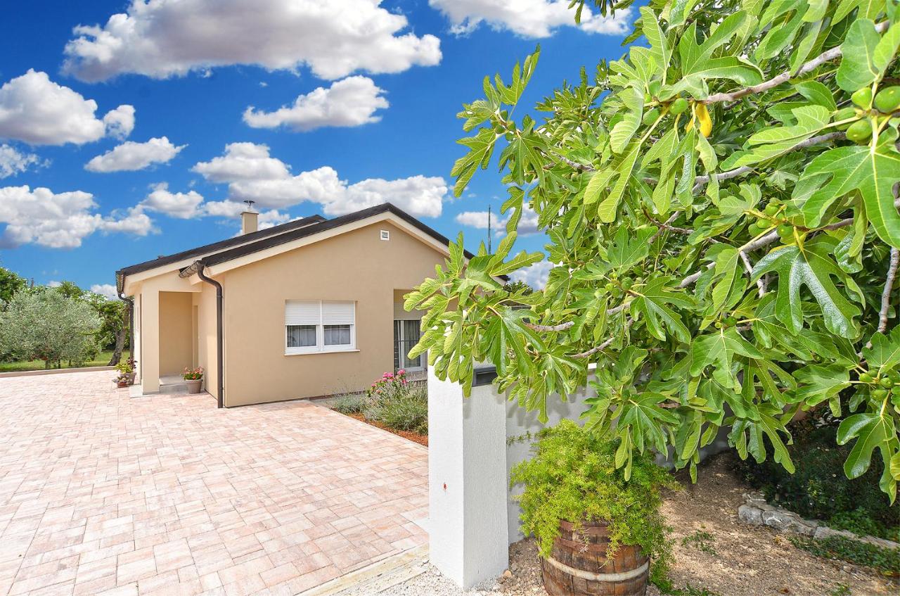 House Tea 2279 - B&B Medulin