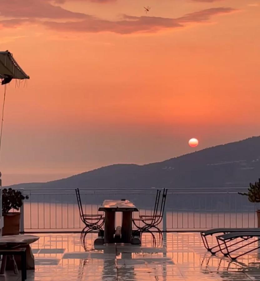 Villa Tulip - B&B