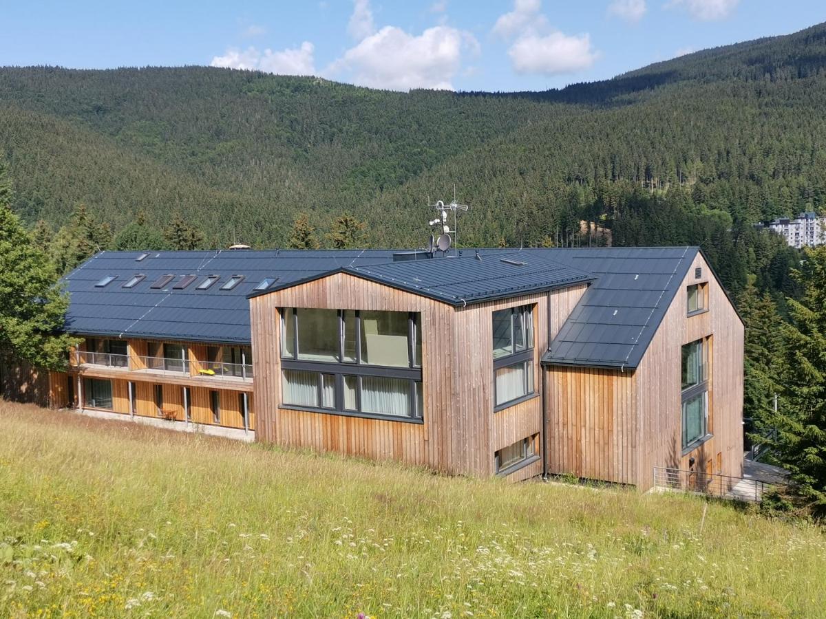 Apartmán_Alpina Špindlerův Mlýn - B&B