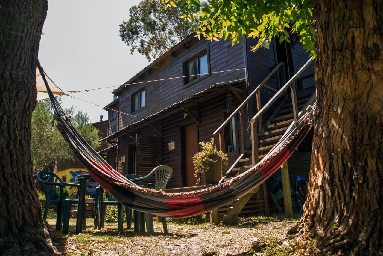 Apartment - Erdgeschoss