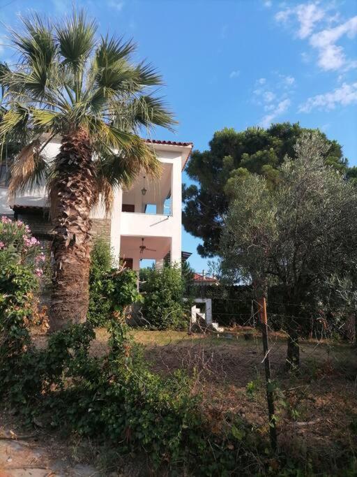 Pine & sea house - B&B Níkiti