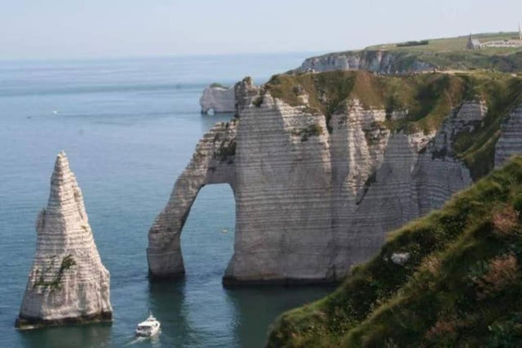 Les falaises d Etretat Etretat hypercentre duplex 50m de la mer & parking - B&B