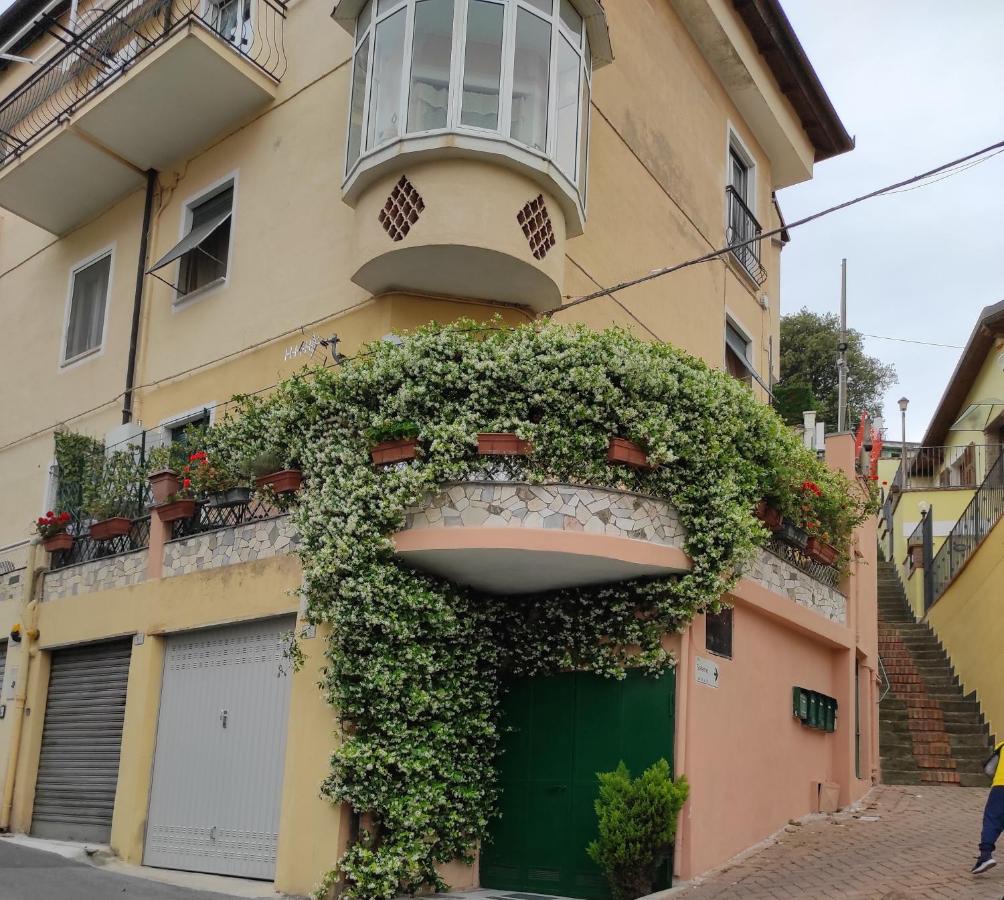 La casa dei gelsomini - B&B