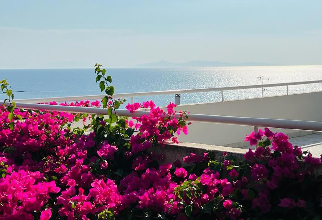 Sea, La Vie - Ferienwohnung Saronída